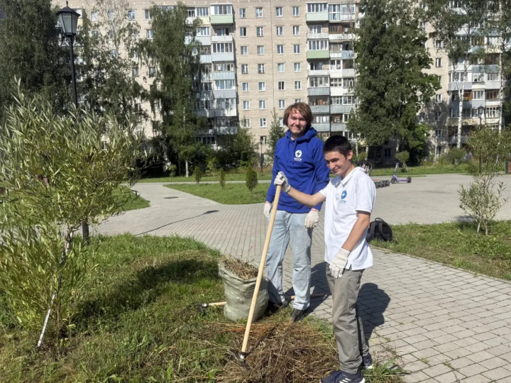 share-photo-33168712487.jpeg